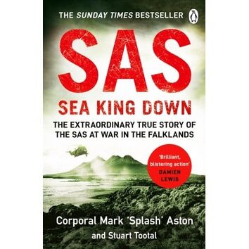 SAS Seaking Down