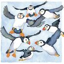 Emma Ball Puffins Mini Note Cards (Pack of 10) additional 3