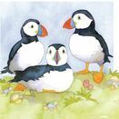 Emma Ball Puffins Mini Note Cards (Pack of 10) additional 2