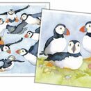 Emma Ball Puffins Mini Note Cards (Pack of 10) additional 1