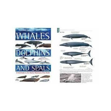 Whales Dolphins and Seals by Hadoram Shirihai